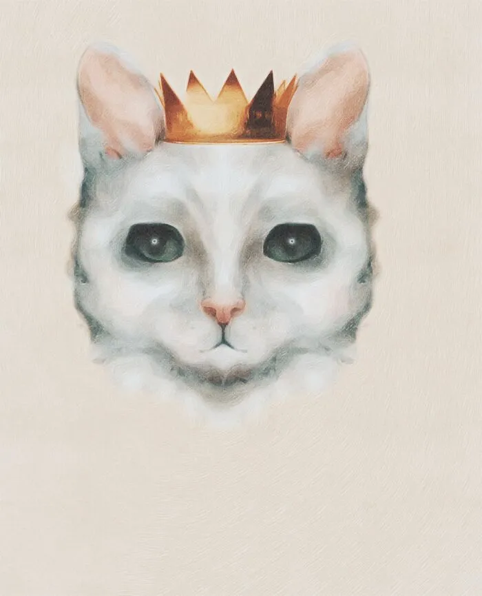 For My Upcoming Children's Book