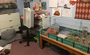Hey Pandas, Show Us Your Roommate