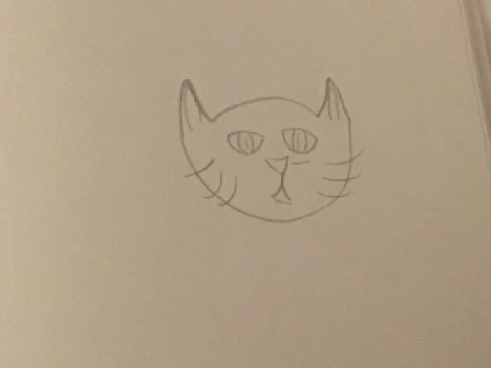 Super Fast Cat Drawing!