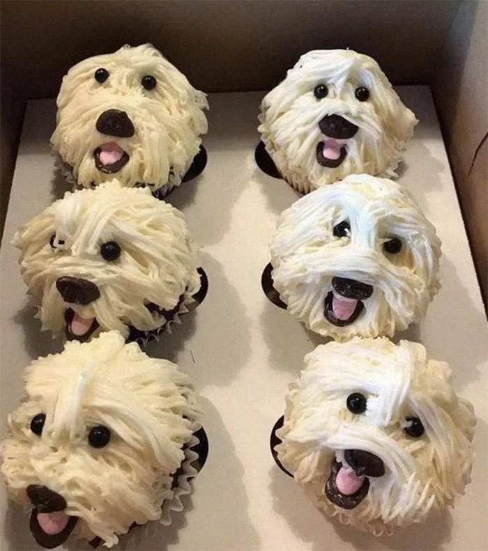 Doggie Cupcakes