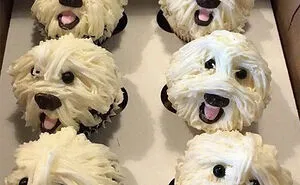 People Are Sharing Pics Of Nearly Perfect Food, And Here Are 50 Of The Most Beautiful Ones
