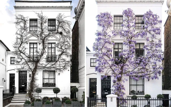 Una vivienda de South Kensington fotografiada por Bei.bei.wei