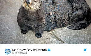 35 Times Companies And People Tried To Appeal To The Youth And Failed Miserably