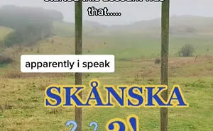 27 “Culture Shocks” This Canadian Woman Experienced After Moving To Sweden