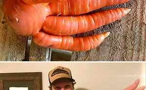 50 Times People Spotted Pareidolia In These Vegetables And Fruits And Just Had To Take A Pic