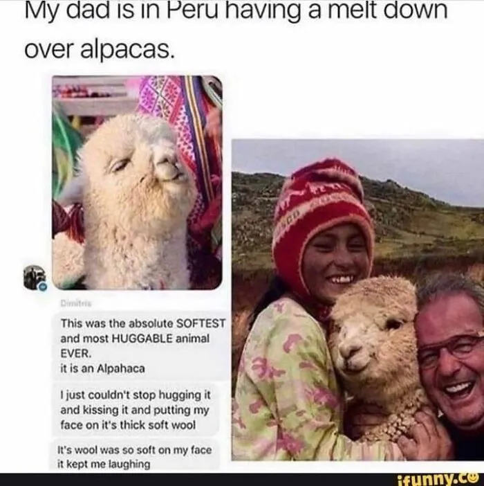 50 Posts From The "Heck This Is Super Wholesome" Group That Only Have Positive Vibes