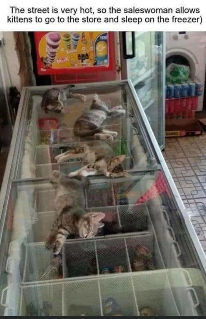 50 Posts From The "Heck This Is Super Wholesome" Group That Only Have Positive Vibes