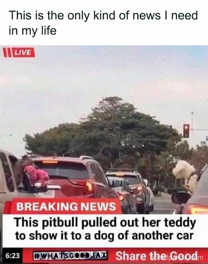 50 Posts From The "Heck This Is Super Wholesome" Group That Only Have Positive Vibes
