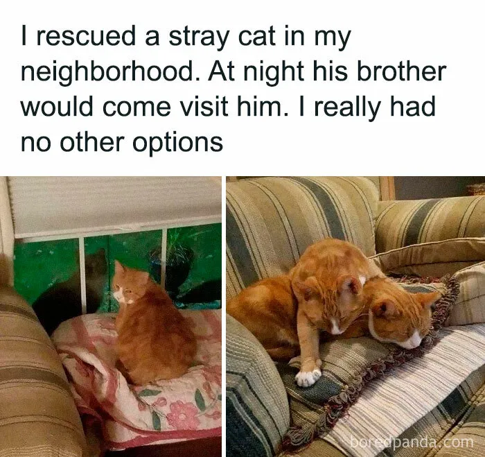 50 Posts From The "Heck This Is Super Wholesome" Group That Only Have Positive Vibes