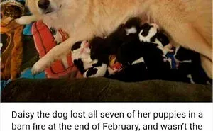 50 Posts From The "Heck This Is Super Wholesome" Group That Only Have Positive Vibes