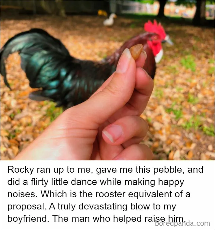 50 Posts From The "Heck This Is Super Wholesome" Group That Only Have Positive Vibes