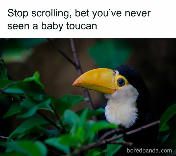 50 Posts From The "Heck This Is Super Wholesome" Group That Only Have Positive Vibes