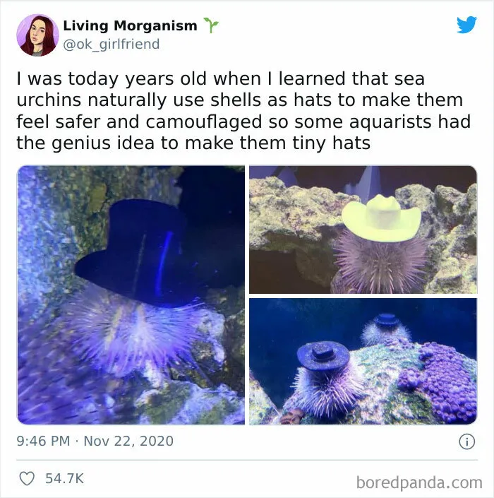 50 Posts From The "Heck This Is Super Wholesome" Group That Only Have Positive Vibes
