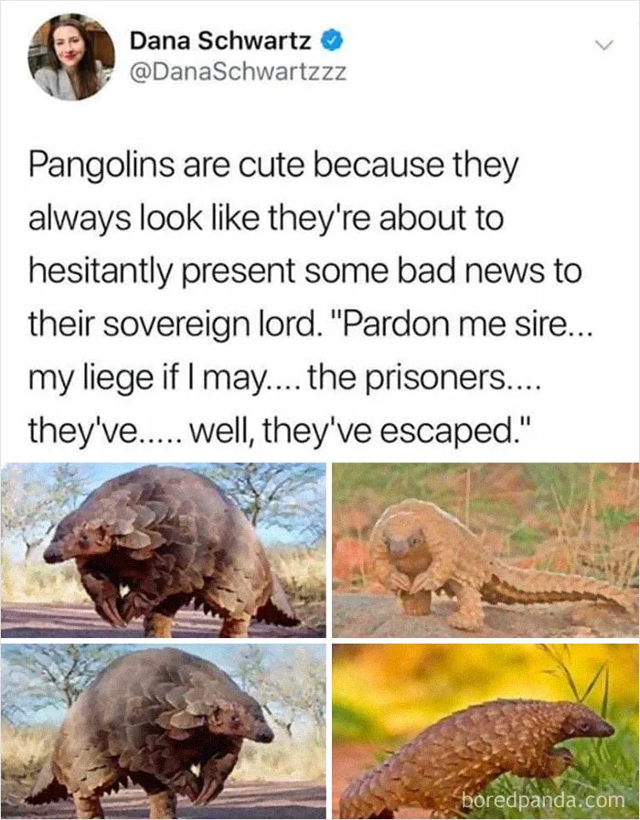 50 Posts From The "Heck This Is Super Wholesome" Group That Only Have Positive Vibes