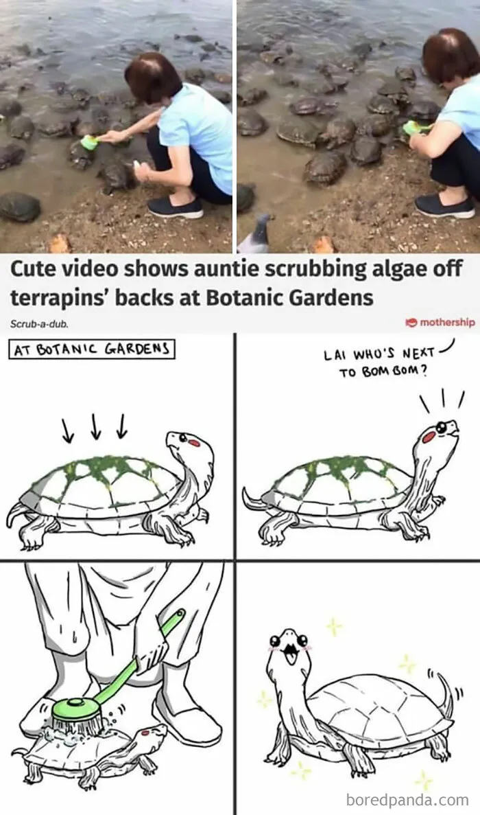 50 Posts From The "Heck This Is Super Wholesome" Group That Only Have Positive Vibes