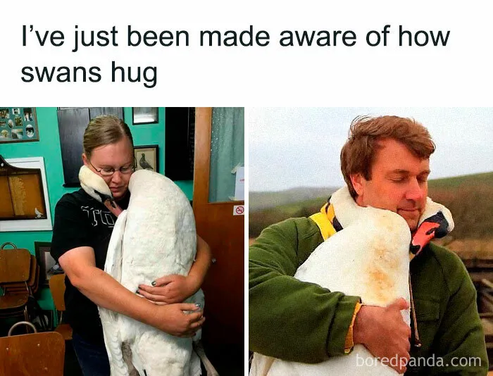 50 Posts From The "Heck This Is Super Wholesome" Group That Only Have Positive Vibes