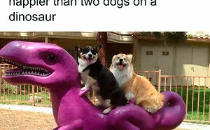 50 Posts From The "Heck This Is Super Wholesome" Group That Only Have Positive Vibes