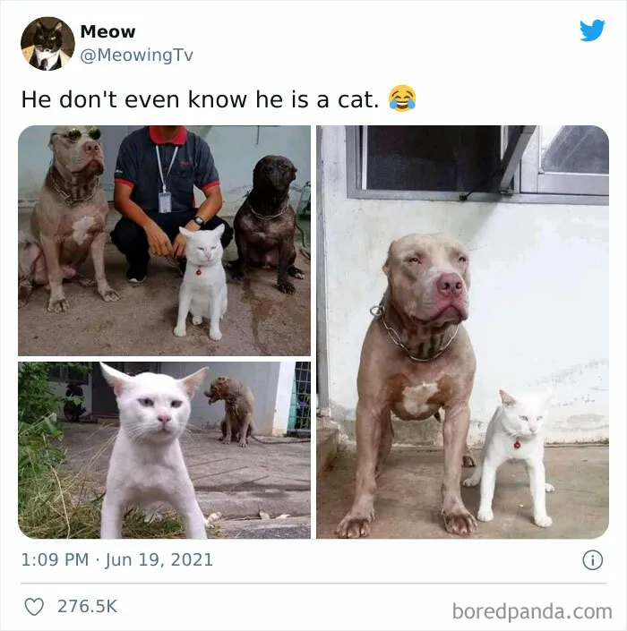 50 Posts From The "Heck This Is Super Wholesome" Group That Only Have Positive Vibes