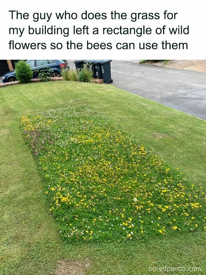 50 Posts From The "Heck This Is Super Wholesome" Group That Only Have Positive Vibes