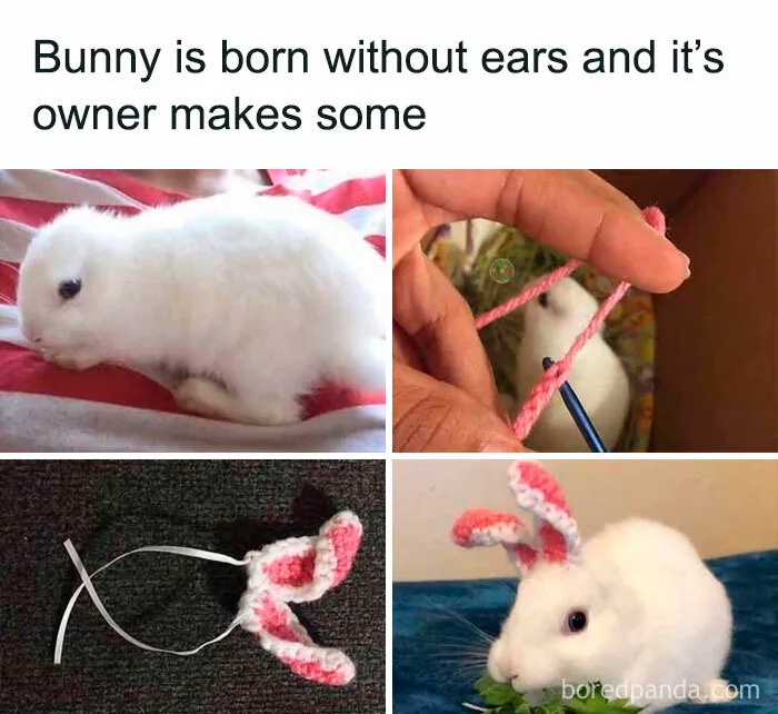 50 Posts From The "Heck This Is Super Wholesome" Group That Only Have Positive Vibes
