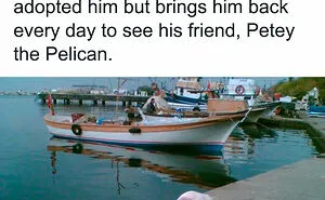 50 Posts From The "Heck This Is Super Wholesome" Group That Only Have Positive Vibes