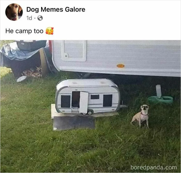 50 Posts From The "Heck This Is Super Wholesome" Group That Only Have Positive Vibes