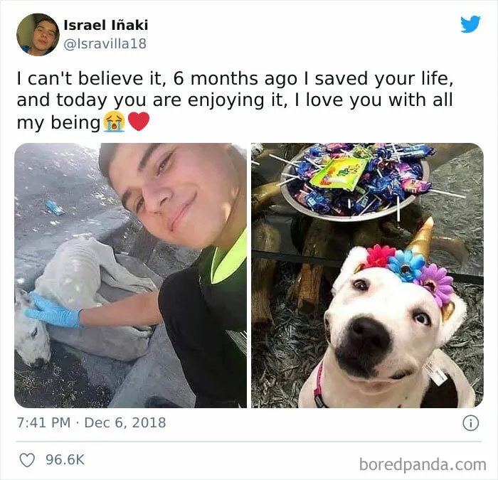 50 Posts From The "Heck This Is Super Wholesome" Group That Only Have Positive Vibes