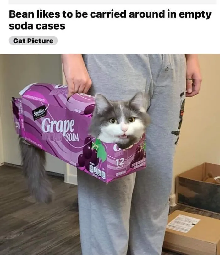 50 Posts From The "Heck This Is Super Wholesome" Group That Only Have Positive Vibes