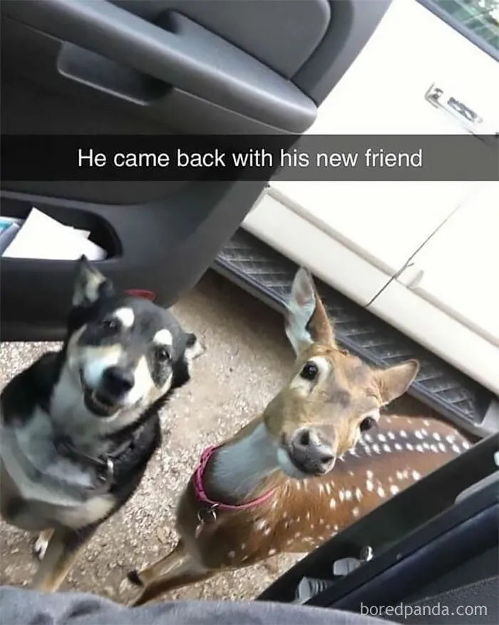 50 Posts From The "Heck This Is Super Wholesome" Group That Only Have Positive Vibes