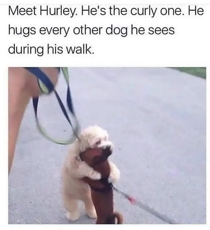 50 Posts From The "Heck This Is Super Wholesome" Group That Only Have Positive Vibes