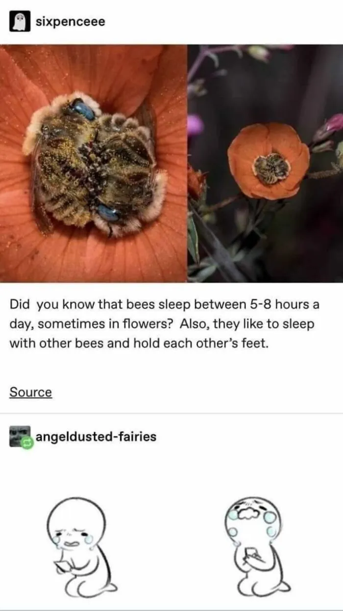50 Posts From The "Heck This Is Super Wholesome" Group That Only Have Positive Vibes