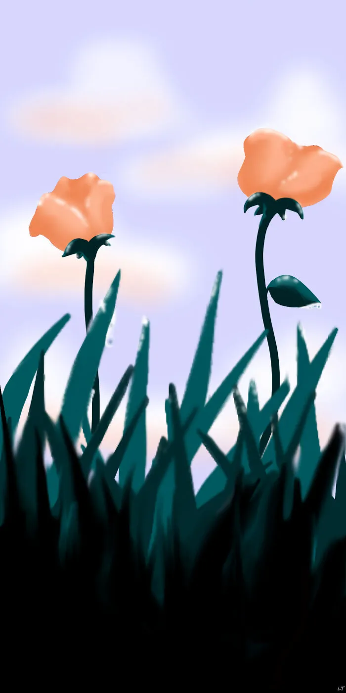 Morning Dew