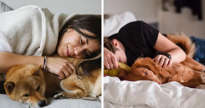 Here's Why You Should let Your Dog Sleep In Your Bed
