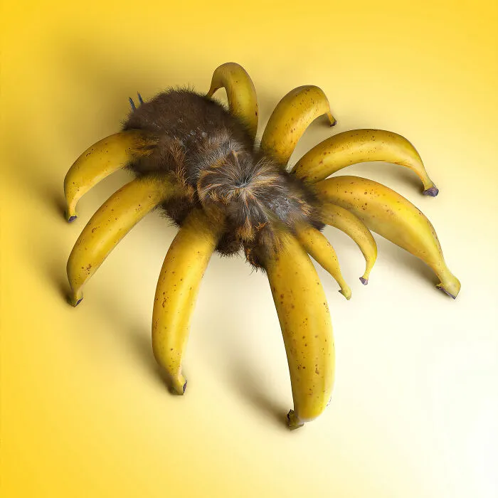 Surreal Photoshops That Combine Completely Different Objects