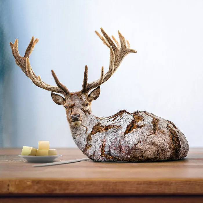 I Create Surreal Edits Using Animals, Plants, People, And Objects (30 Pics)