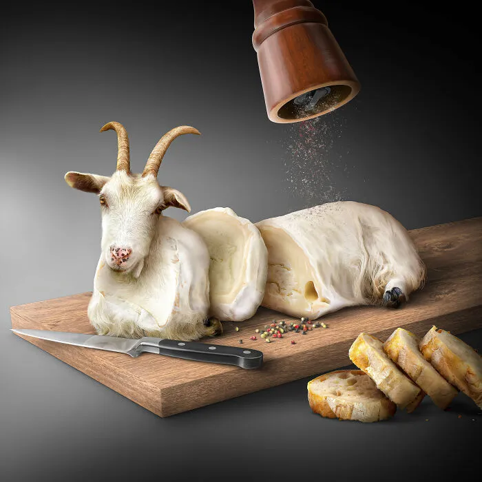 I Create Surreal Edits Using Animals, Plants, People, And Objects (30 Pics)