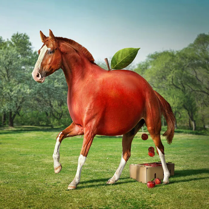 I Create Surreal Edits Using Animals, Plants, People, And Objects (30 Pics)