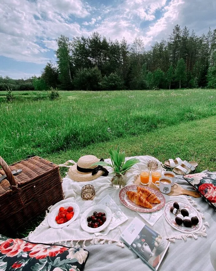 Desearía tener estos picnic cada día