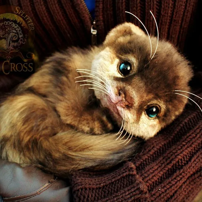 116 Incredibly Cute Animal Sculptures Made By Lee Cross