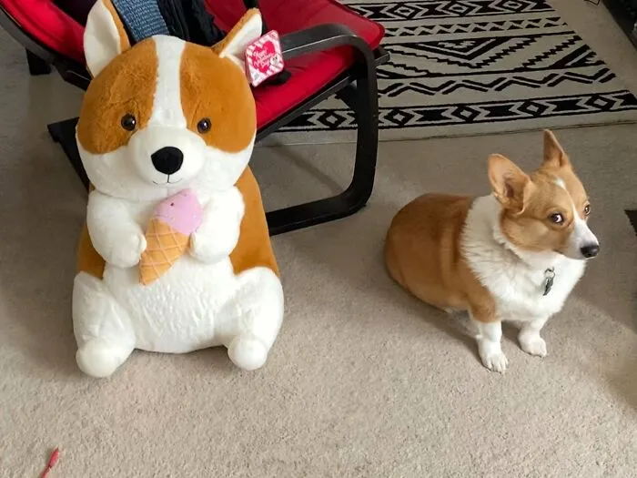 A Lily no le gusta su nuevo amigo