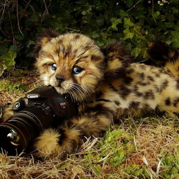 116 Incredibly Cute Animal Sculptures Made By Lee Cross