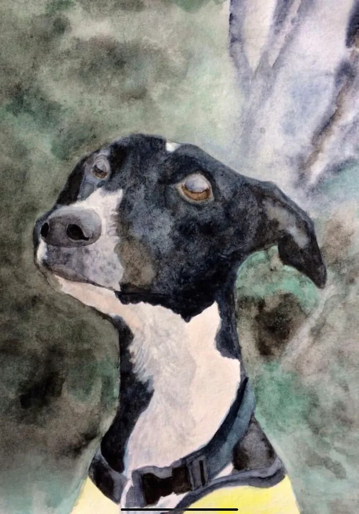 I Cant Decide But I Really Like This Cute Greyhound I Painted!