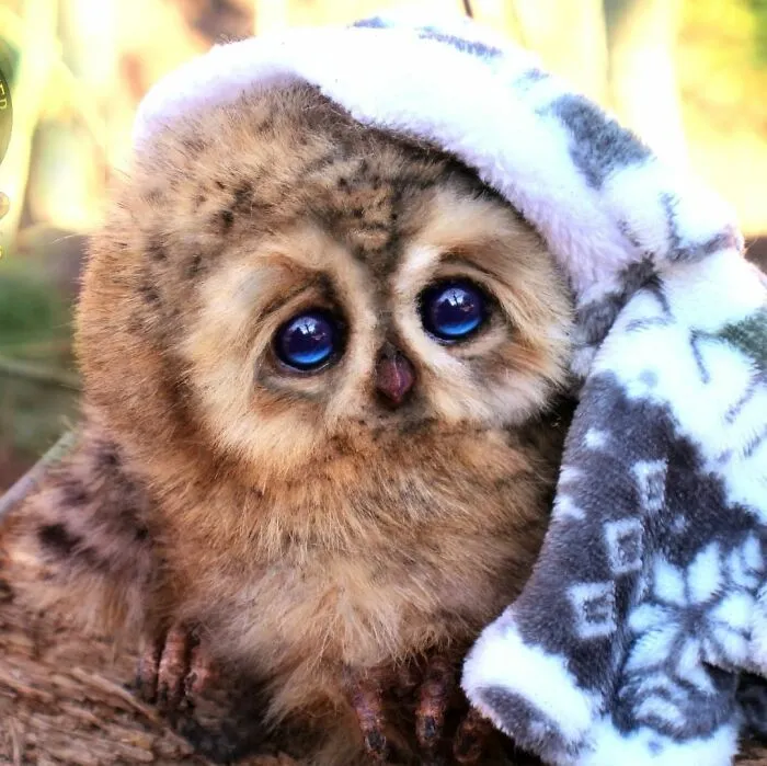 116 Incredibly Cute Animal Sculptures Made By Lee Cross