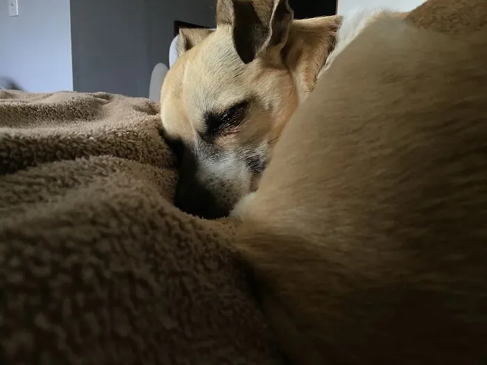 My Baby Ellie