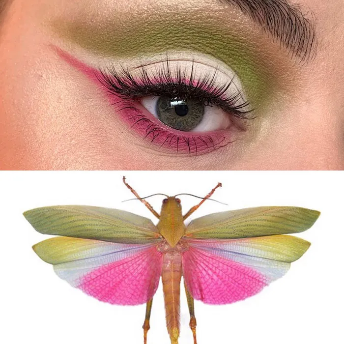 Artist Shows The Beauty Of Insects With Her 30 Matching Eye Makeup Looks