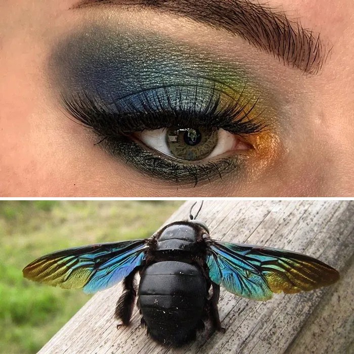 Esta artista mostró la belleza de los insectos con sus 20 estilos de maquillaje de ojos a juego