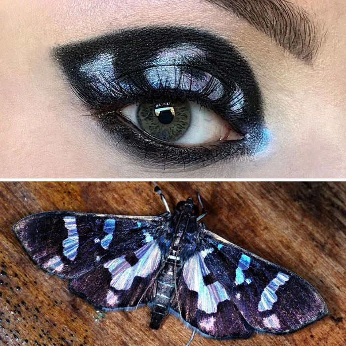 Artist Shows The Beauty Of Insects With Her 30 Matching Eye Makeup Looks