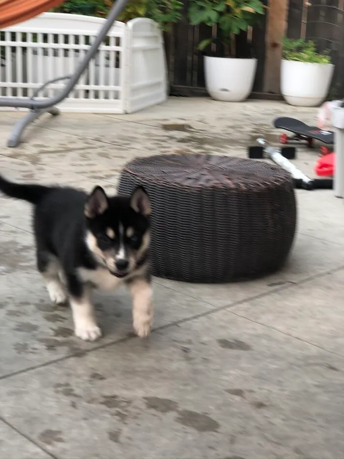 Oh Lawd He Comin’