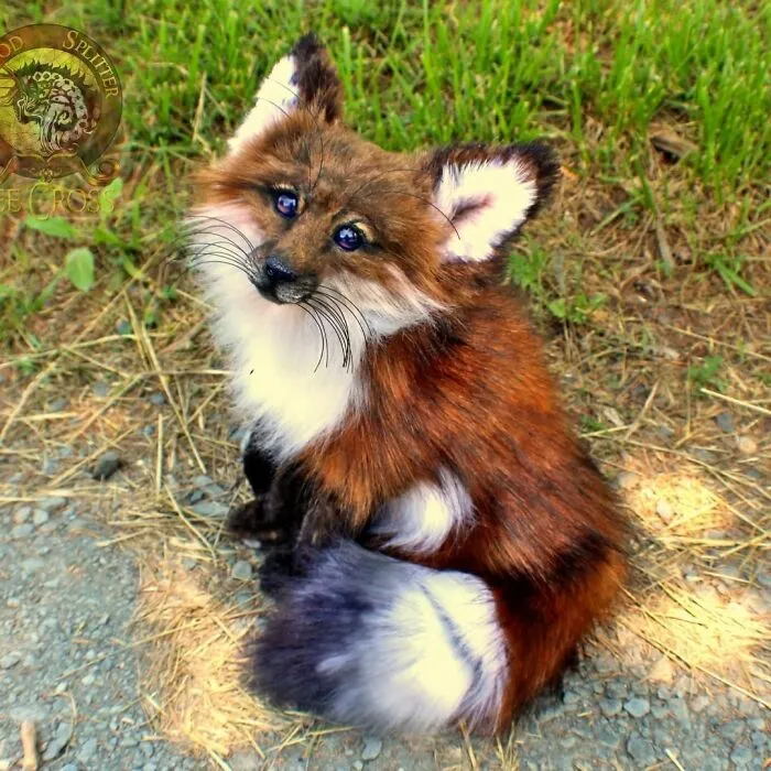 116 Incredibly Cute Animal Sculptures Made By Lee Cross