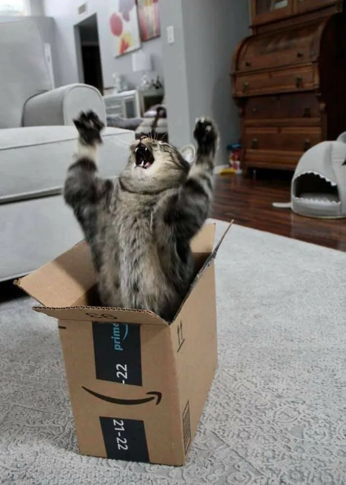El guardián de la caja